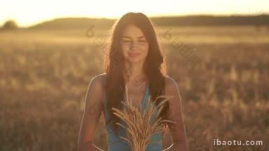 美丽的棕色长发女人，穿着时髦的蓝色衣服，<strong>手里</strong>拿着金黄色的成熟小麦捆，在光线的背景下